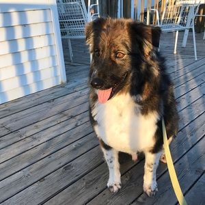 Meet your Posher, Mckenna